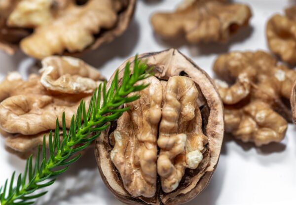 Akhrot – Premium Walnuts | Magz Akhrot