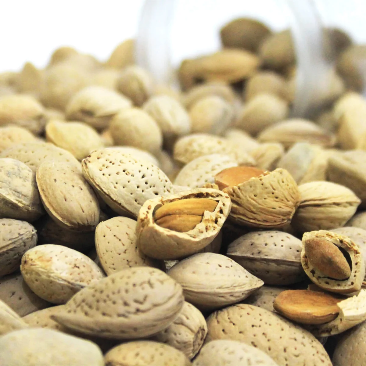 Gurbandi Almonds – With Shells | Desi Badaam in Shell – Nasir Iqbal ...