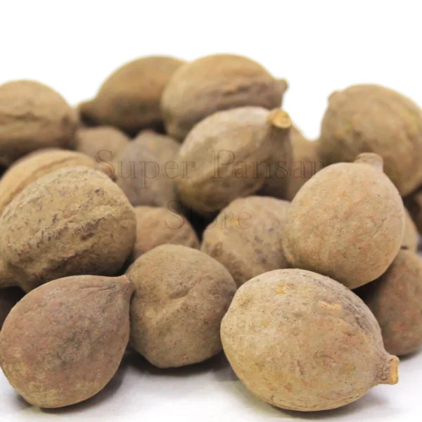 Baherry / بہیڑے | Terminalia bellirica |