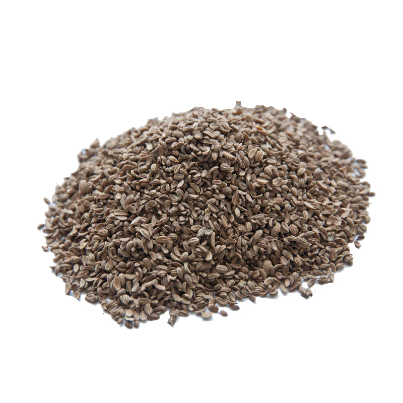 CarrotSeeds_Tukhm-e-Gajar.webp Tukhm-e-Gajar / تخم گاجر - Image 1