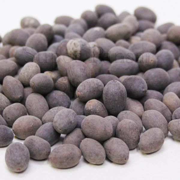 Kol Doday – Lotus Seeds – /کول ڈوڈے