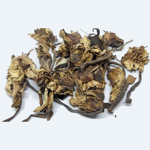 Nilofar-Herbs-.jpg Neelo Far / نیلوفر - Image 1