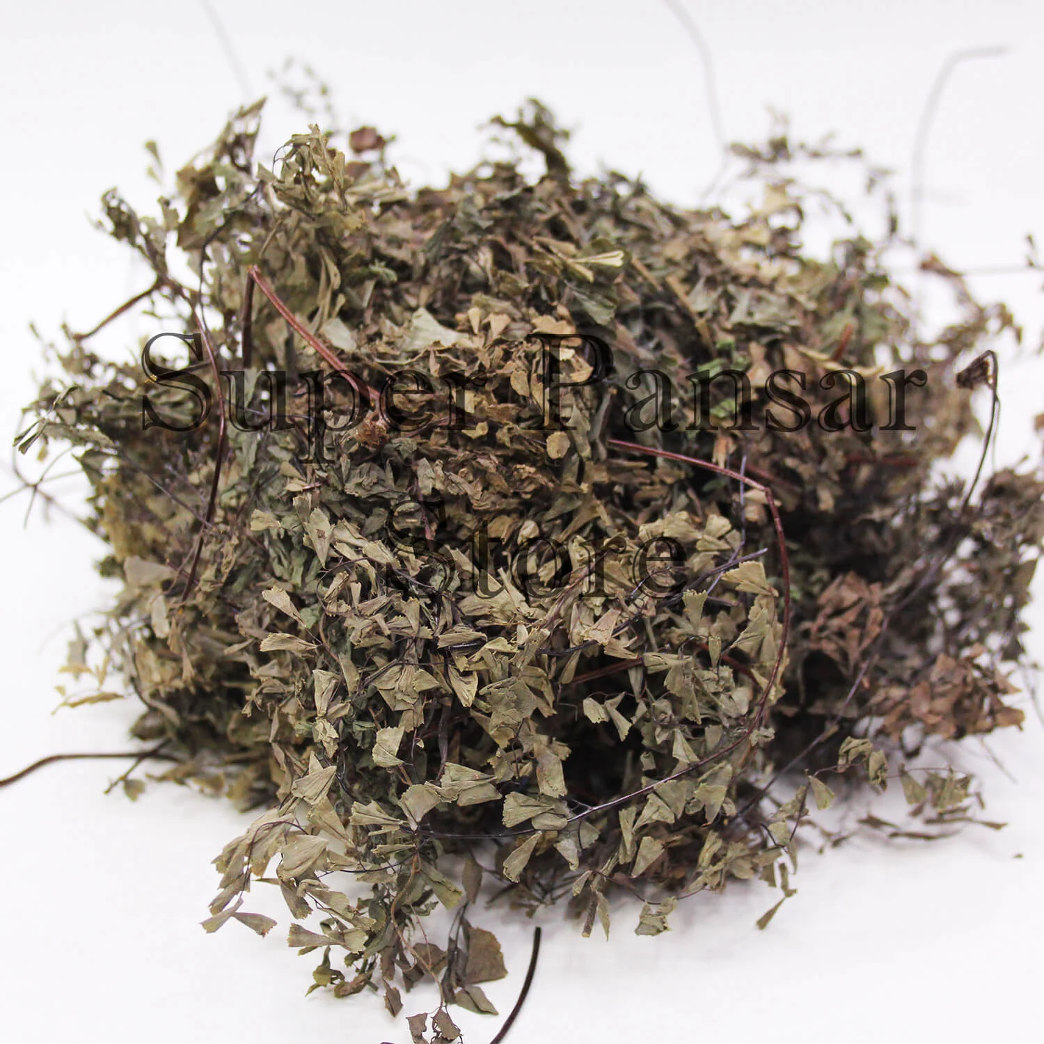 Parsochan-1.webp Parsosha /پرشوشاں - Image 1