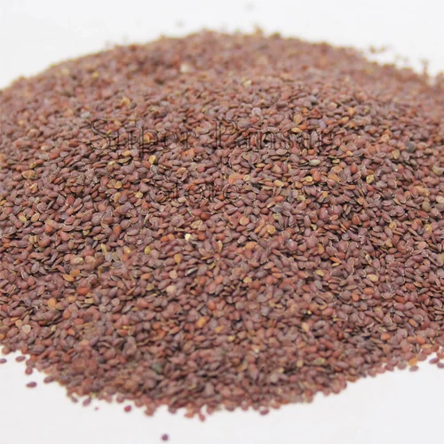 Todri-Surkh-1.webp Todri Red Seeds | Tudri Lal Beej | Todri Surkh | Lepidium Iberis | تودری سرخ | لال تودری - Image 1