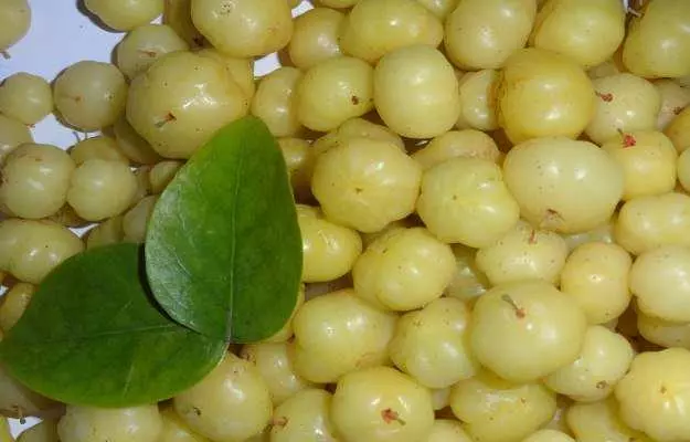 amla-ka-muraba.webp Amla Murabba (Amle Ka Murabba) - Image 1