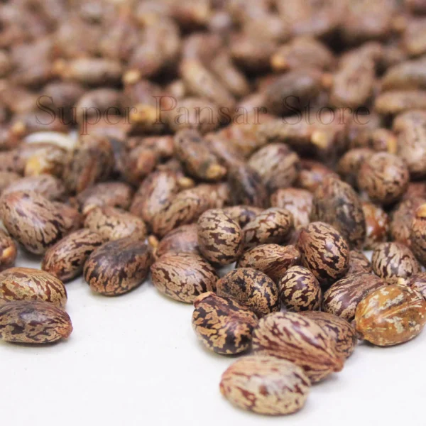 ricinus/تخم ارنڈ