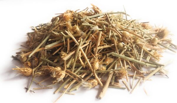 Barham Dandi | Dry Spear Thistles | Smooth Thistle | برہم ڈنڈی