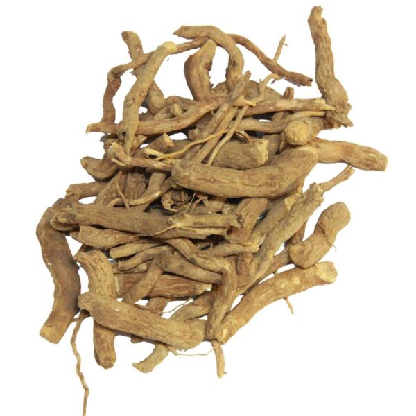 (Chotti Chandan | Sandalwood | چھوٹی چاندن
