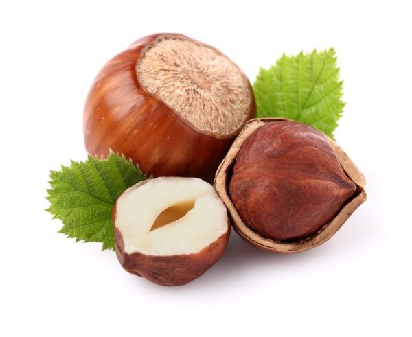 Hazel-Nuts