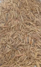 indi.jpg Indarjo Shireen /اندرجوشیریں - Image 1