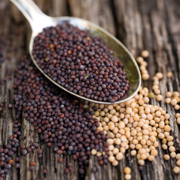 Mustard Seeds | Sarson |