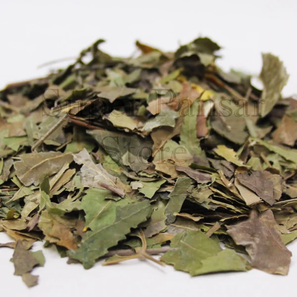 Barg e Neem/برگِ نیم | Neem Leaves |
