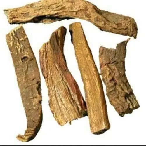 rewand-khatai.jpg Rewand Khatai/ ریوند خطائی - Image 1
