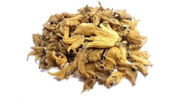 salab-panja.jpg Salab Panja /ثعلب پنجہ - Image 1