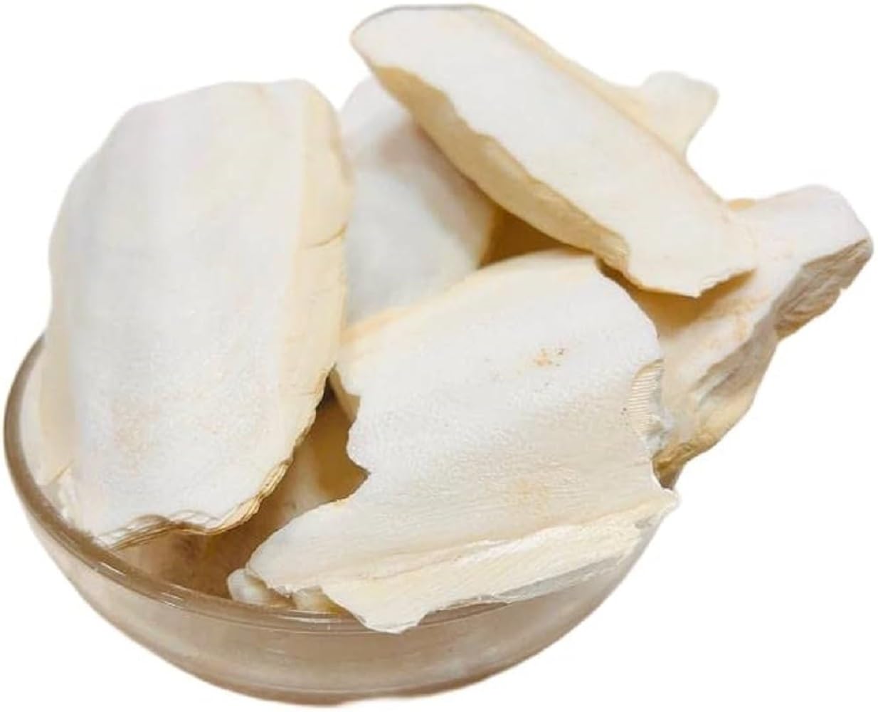 samandari-jhag.jpg Samundar Jhaag – Cuttlefish /سمندر جھاگ - Image 1