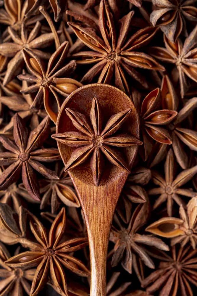 star-anise.jpg Star Anise | Badian Khatai | - Image 1