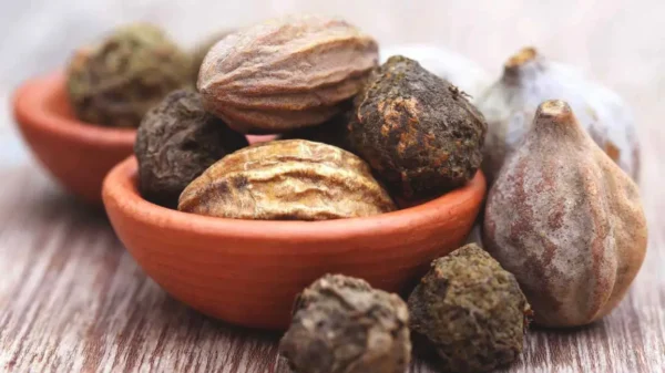 Triphala / ترپھلہ